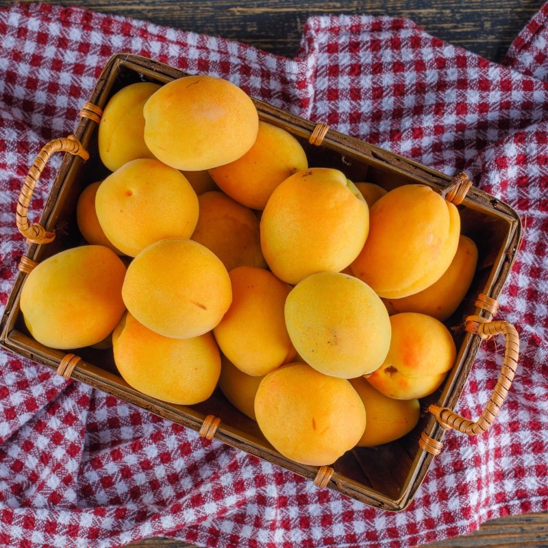 cesto di albicocche su una tovaglia a quadri