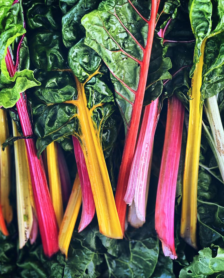 verdure-cipriani Verdure arcobaleno